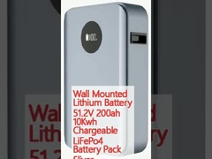 壁掛けリチウム電池 51.2V 200ah 10Kwh 充電可能な LiFePo4 バッテリーパック スリバー