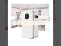 5KWh 48V 51.2V 100Ah 壁掛け LiFePo4 バッテリー ホーム 太陽電池 5年保証